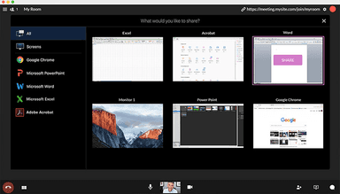 Vidyo Share