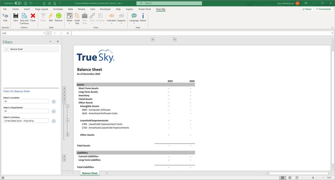 True Sky Balance Sheet