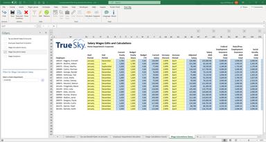 True Sky Salary Wages