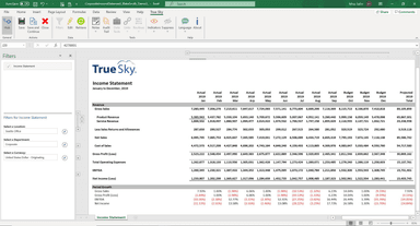 True Sky Income Statement