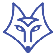 CyberFOX DNS Filtering