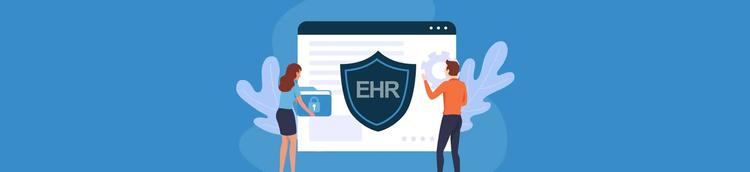 THE EHR UNDERDOGS OF 2024