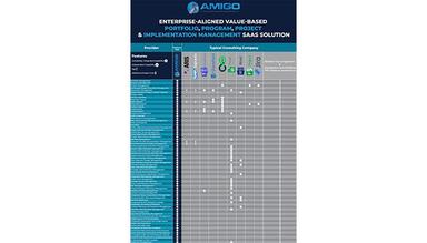 AMIGO Product Comparison Typical Consulting Firm