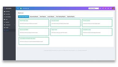 Accurants Accounting Reports