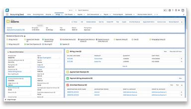 Accounting Seed Easily manage multiple currencies for multiple companies