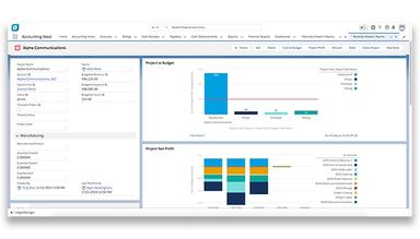 Accounting Seed Track the full cycle of a project and compare budget vs actual in one click