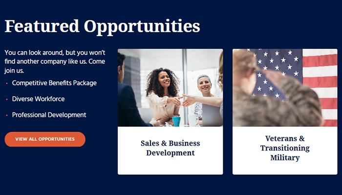Apex IT Featured Opportunities