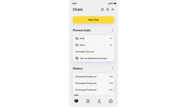 AI Lawyer Mobile View