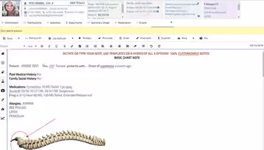 AllegianceMD customizable notes