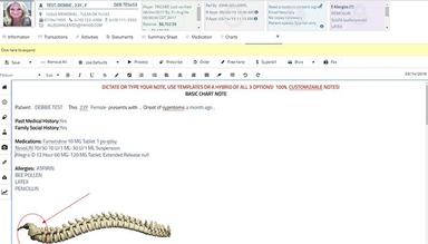 AllegianceMD customizable notes