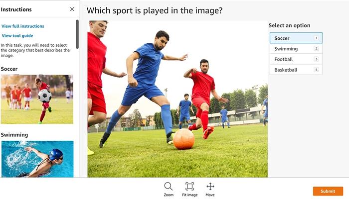 Image Classification Sample Task