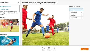Image Classification Sample Task