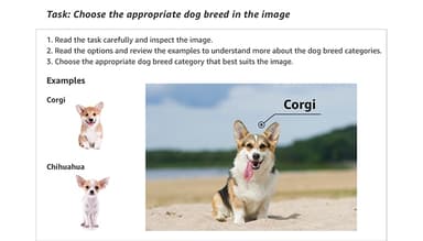 Sample Instructions