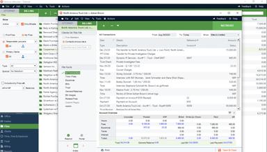 Amicus Attorney Client Financials