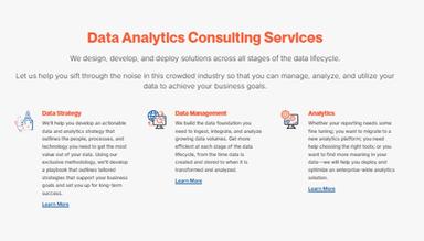 Analytics8 Data Analytics Consulting Services
