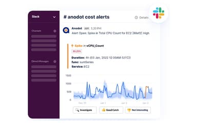 Anodot Cloud Cost Slack Alert