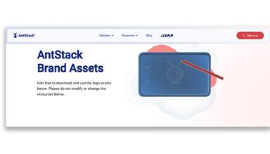 Antstack Brand Assests
