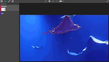 Appen Video and Image Annotation