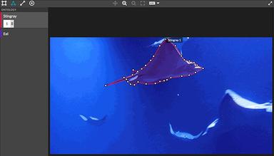 Appen Video and Image Annotation
