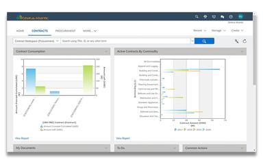 Ariba Contract Management