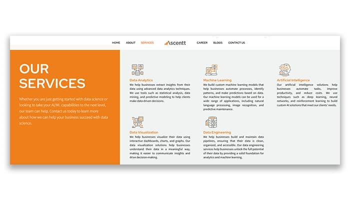 Ascentt Our Services