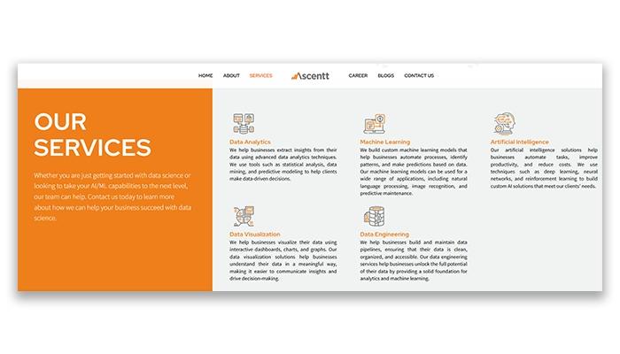 Ascentt Our Services