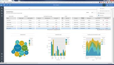 IBM Cognos Analytics Report