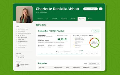 Bamboo Pay Info Tab