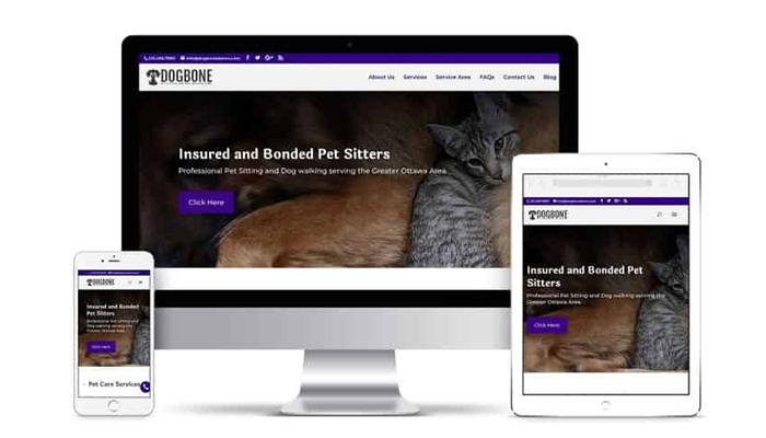 Barketing-Solution-new-website-packages