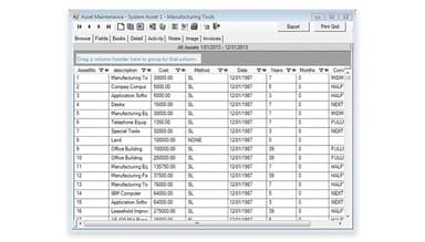 Bassets eDepreciation Row & Column View