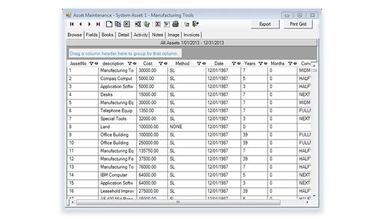 Bassets eDepreciation Row & Column View