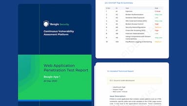 Beagle Security PDF Reports
