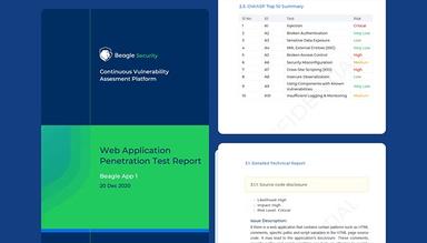 Beagle Security PDF reports