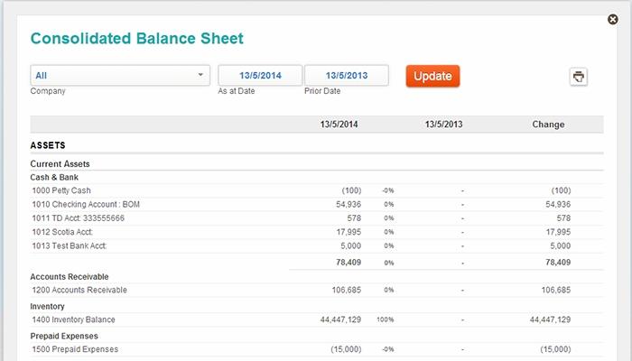 Consolidated Balance Sheet