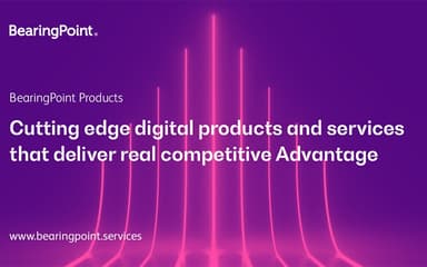 BearingPoint Consulting Products