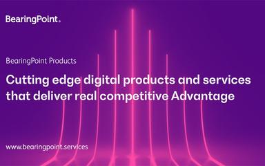 BearingPoint Consulting Products