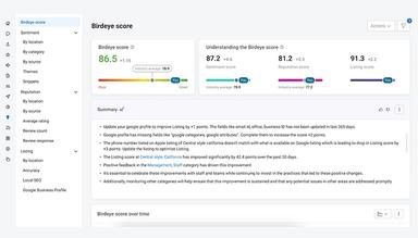 Birdeye-Insights-AI