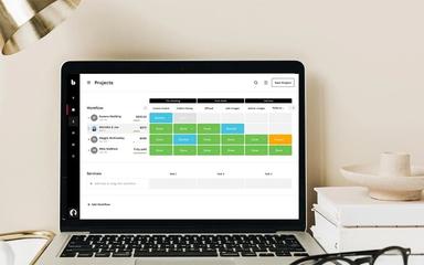 Bloom Workflows