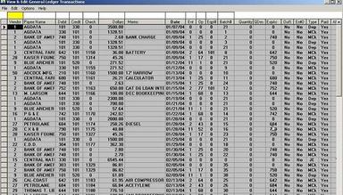 Blue Skies Accounting View and Edit GL Transactions