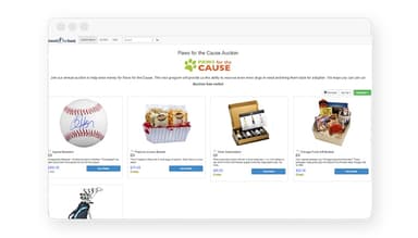 Bonterra Guided Fundraising Auctions