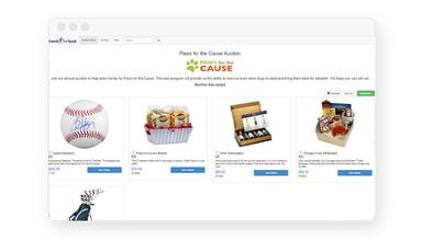 Bonterra Guided Fundraising Auctions