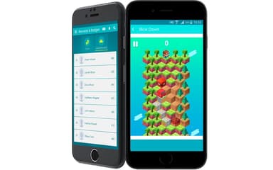 Brainmint Mobile Version