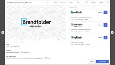Brandfolder-Previewing-an-individual-asset