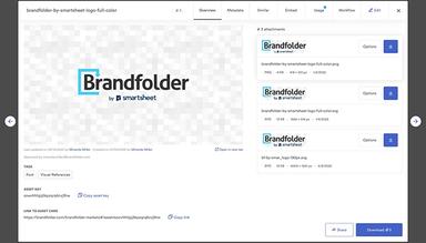 Brandfolder-Previewing-an-individual-asset