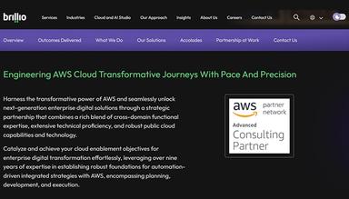 Brillio Consulting Partner