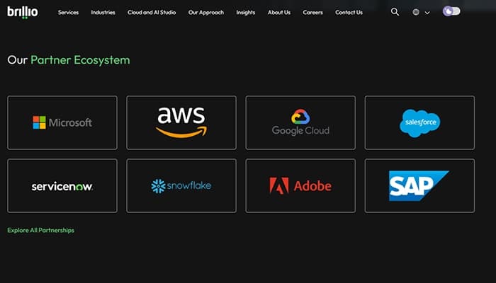 Brillio-Partner-Ecosystem