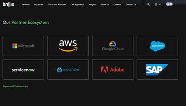 Brillio-Partner-Ecosystem