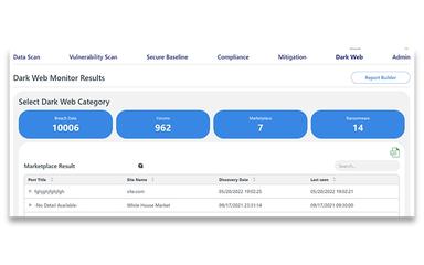 Dark Web Monitoring