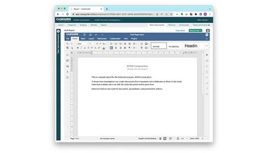 CaseGuide Team Documents