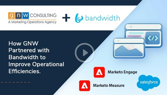GNW Consulting Case Studies